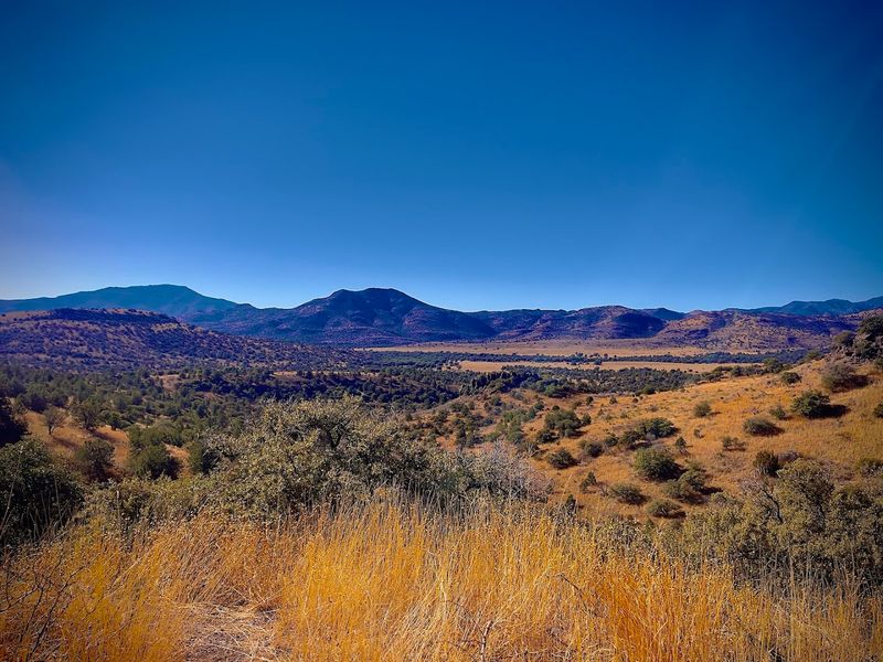 Lonesome Highway (West Texas)