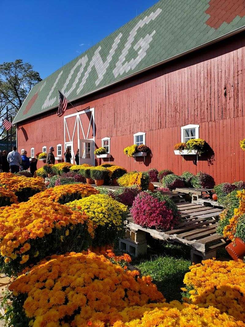 Long Family Orchard & Farm Long Family Orchard & Farm