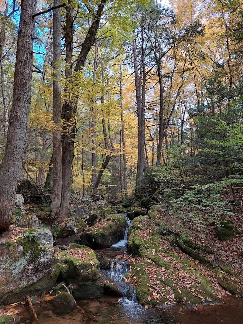 Long Trails That Reward Slow Exploration Long Trails That Reward Slow Exploration