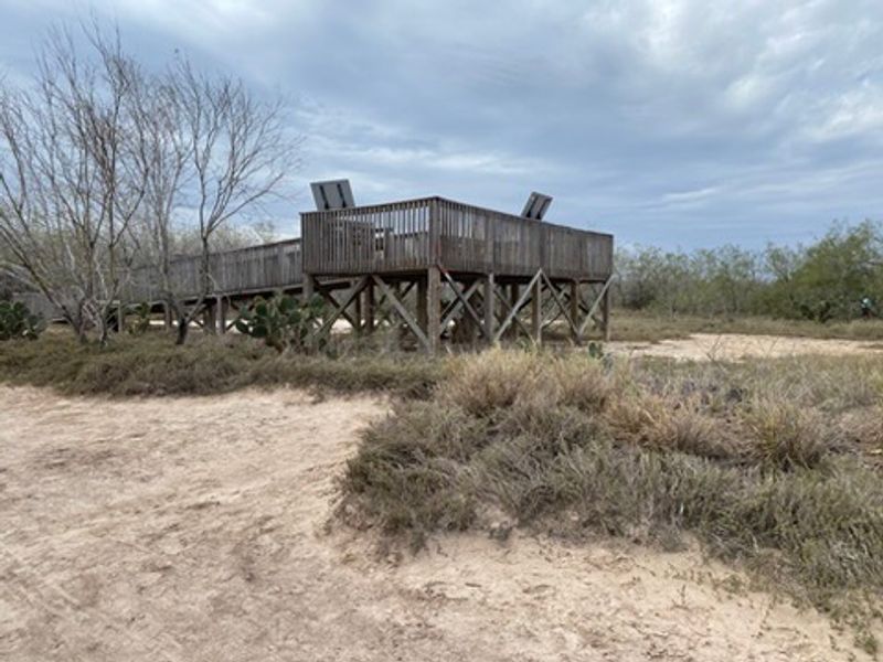 Lower Rio Grande Valley & South Texas Brushlands Lower Rio Grande Valley & South Texas Brushlands
