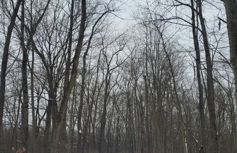 Loyalhanna Creekside Trail