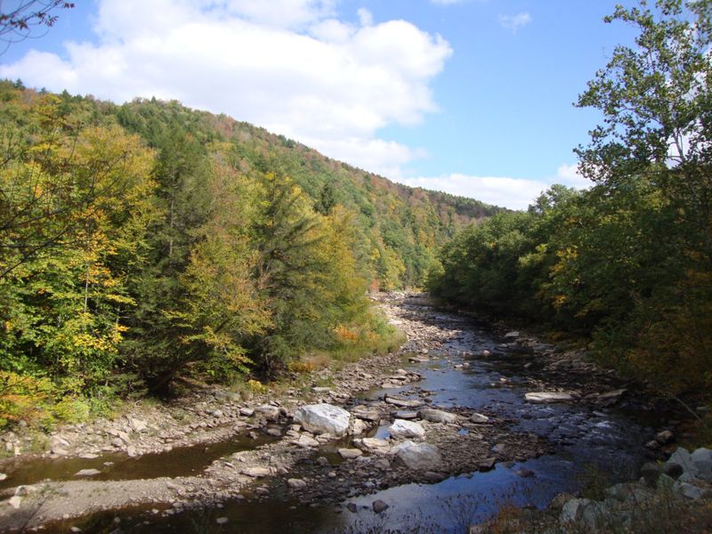Loyalsock Creek gives the park its rhythm Loyalsock Creek gives the park its rhythm