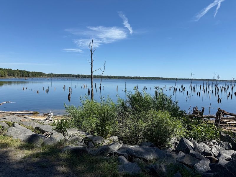 Manasquan Reservoir Perimeter Trail - Howell