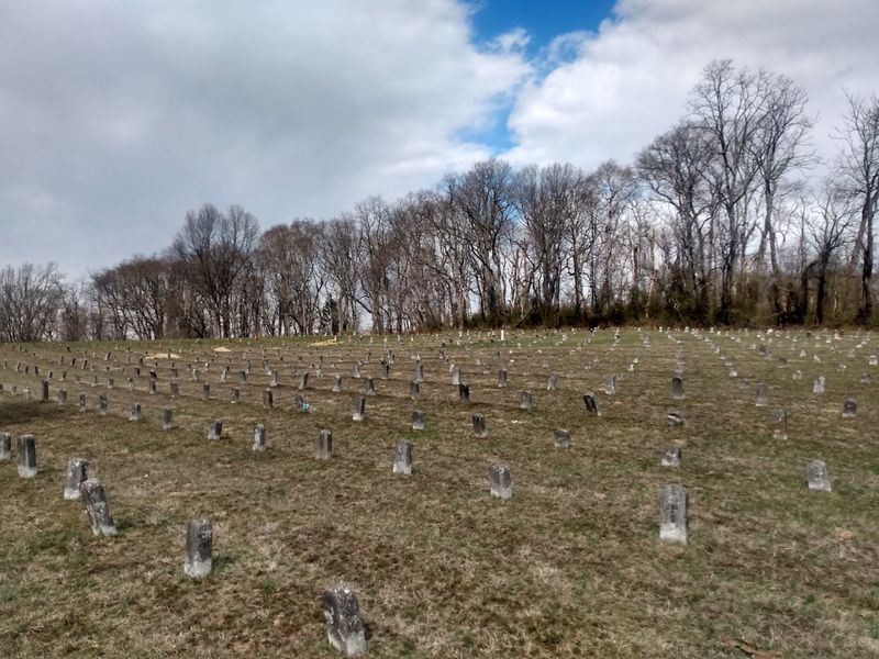Marlboro Psychiatric Hospital Cemetery / Former Hospital Grounds, Marlboro Marlboro Psychiatric Hospital Cemetery / Former Hospital Grounds, Marlboro