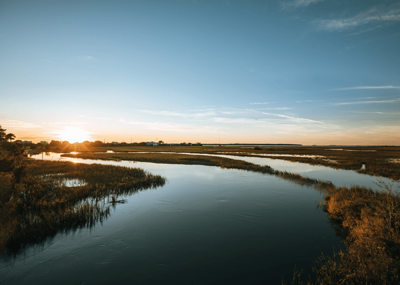 Marsh Views That Feel Alive at Dusk