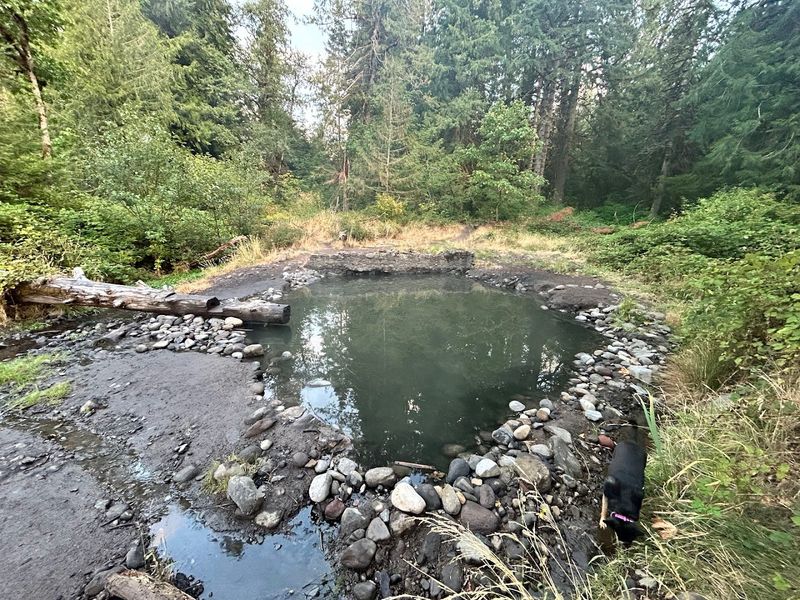 McCredie Hot Springs