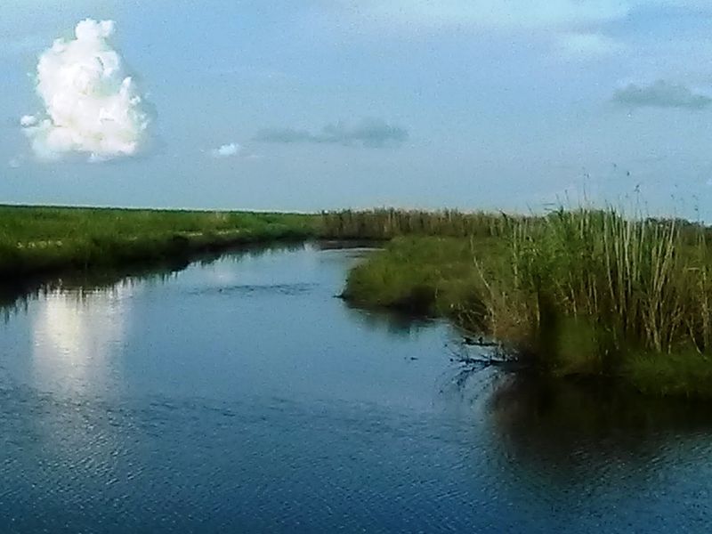 McFaddin Beach (Near High Island)