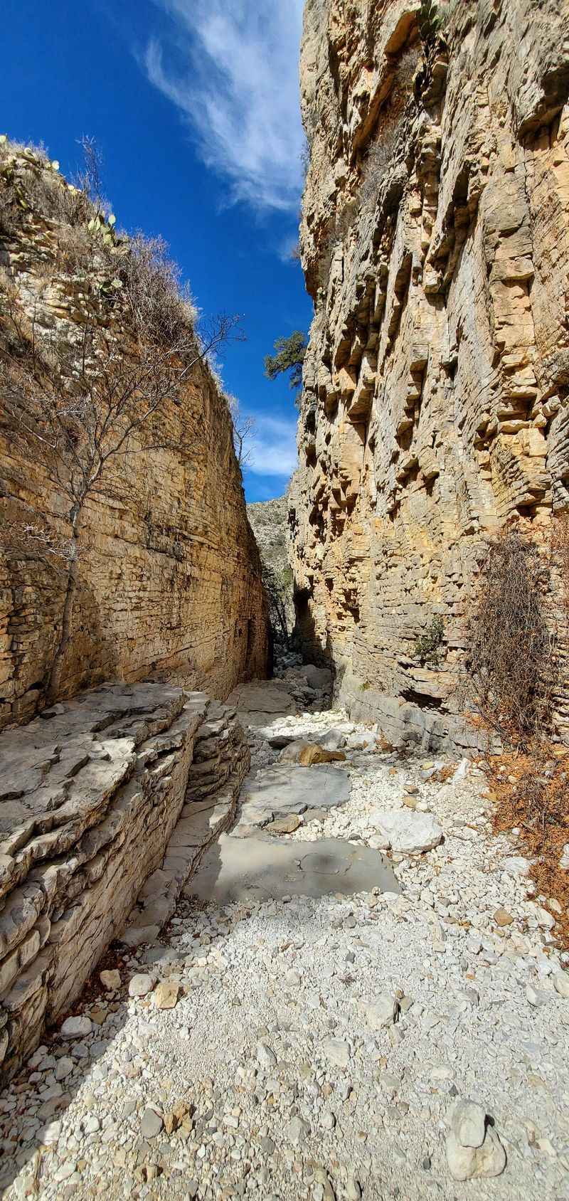 McKittrick Canyon McKittrick Canyon