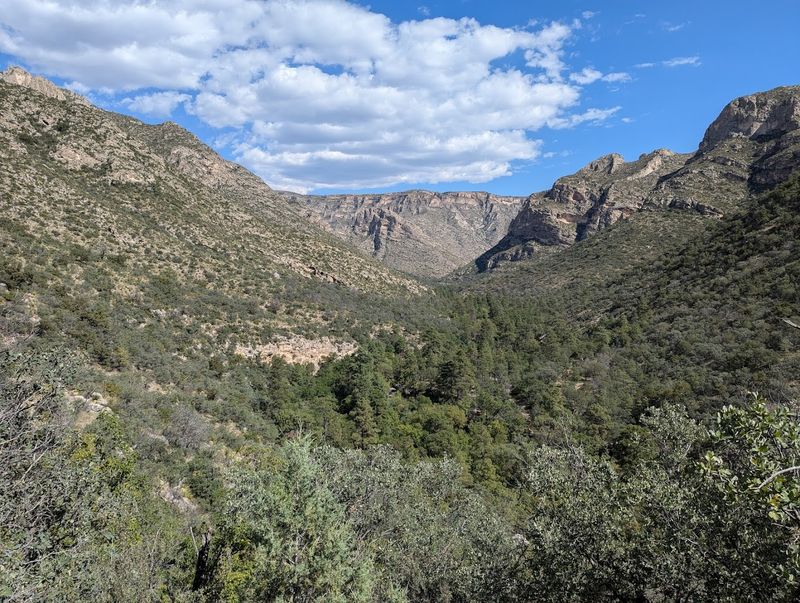 McKittrick Canyon