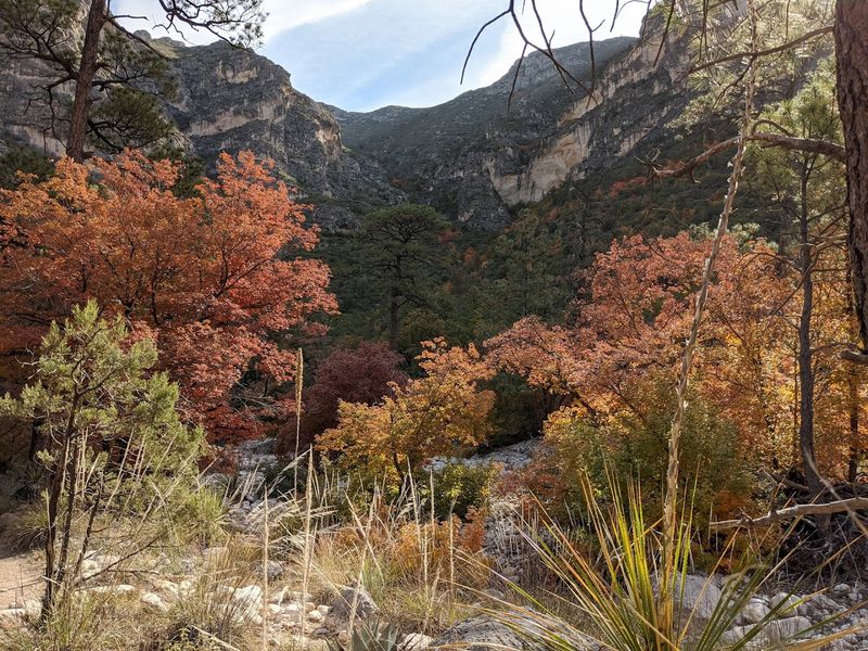 McKittrick Canyon's Secret Autumn Explosion