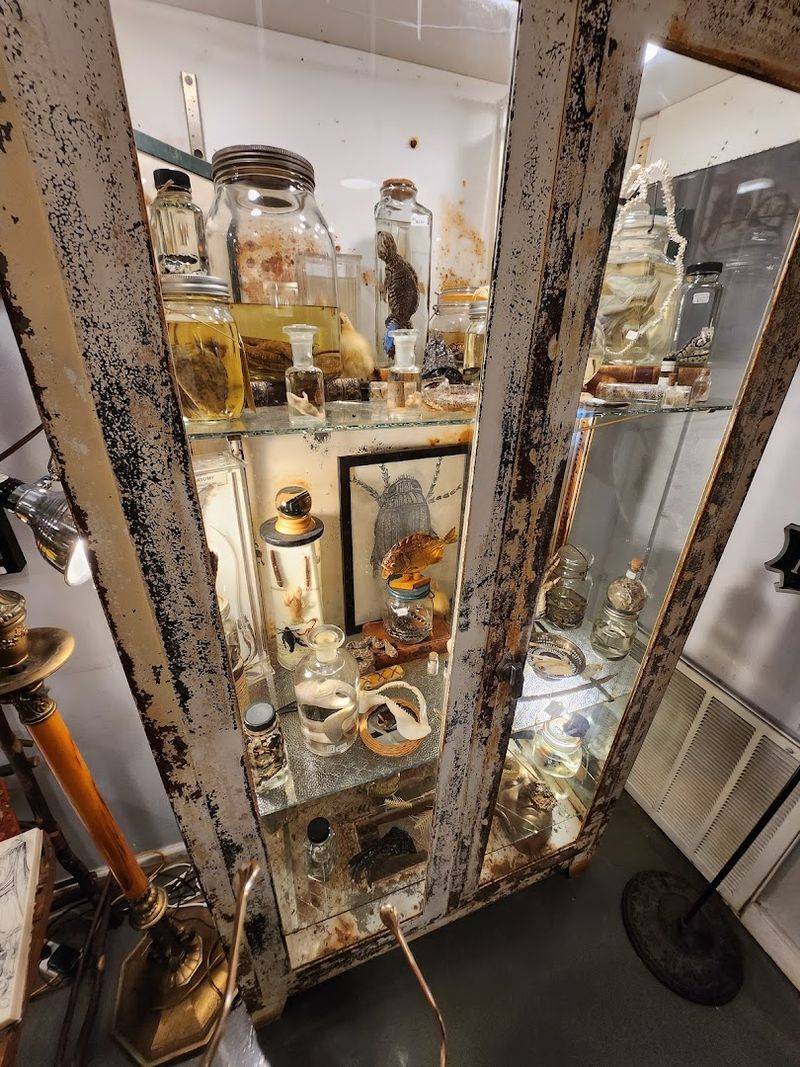 Medical Antiques and Scientific Oddities