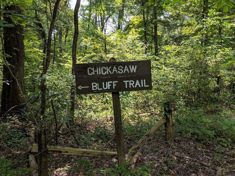 Meeman-Shelby Forest State Park — Millington