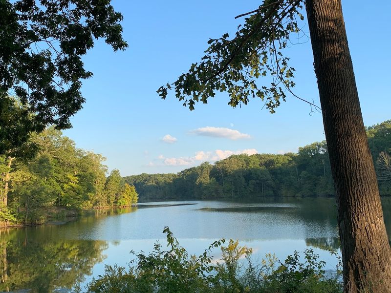 Meeman-Shelby Forest State Park — Millington