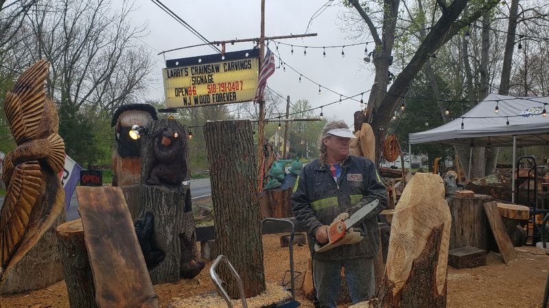 Meet the Cream Ridge artist giving fallen trees a second life