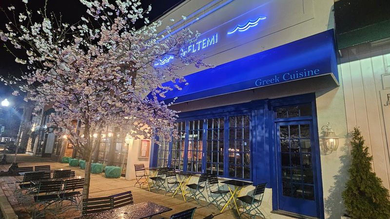 Meltemi Greek Restaurant - Ridgewood
