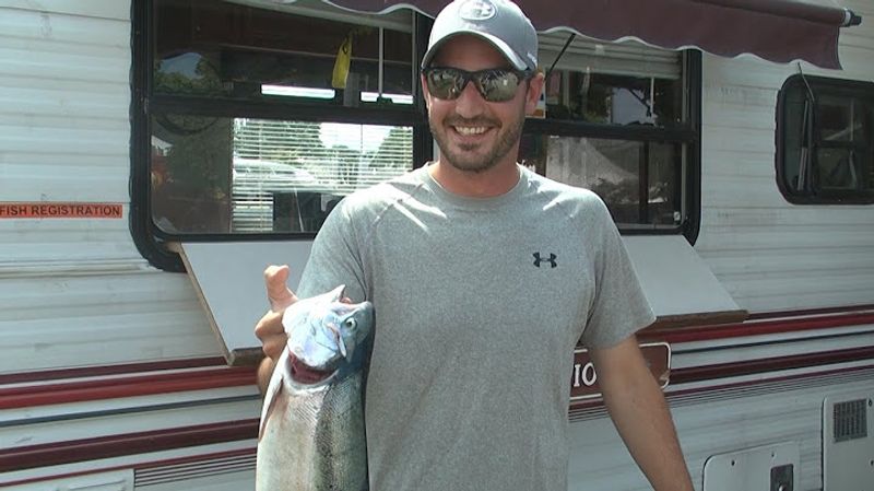 Michigan Brown Trout Festival — July