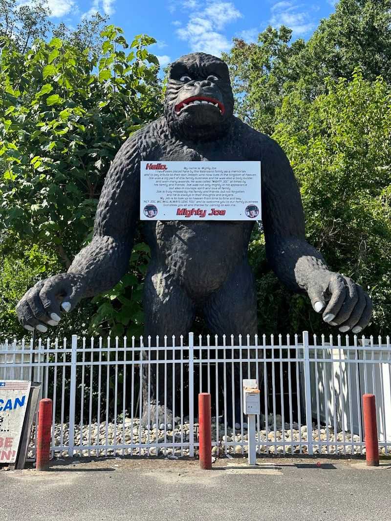 Mighty Joe the Gorilla - Shamong