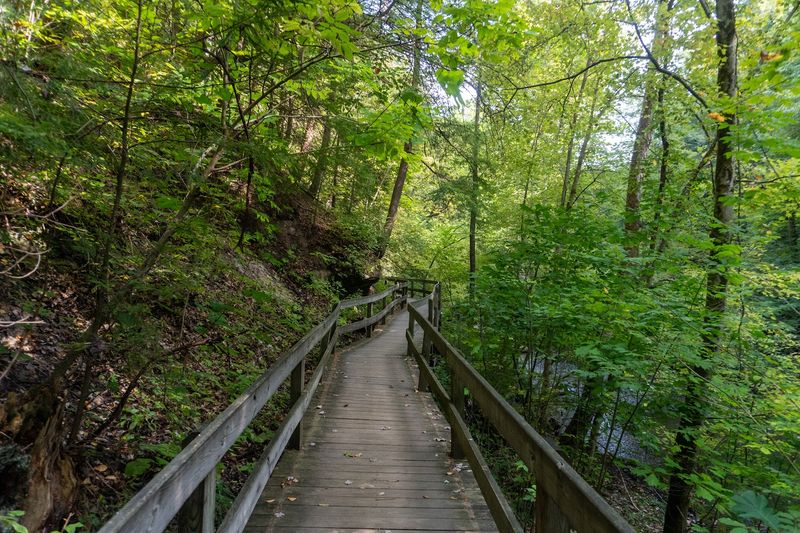 Miles Of Trails That Feel Like A Real Escape Miles Of Trails That Feel Like A Real Escape