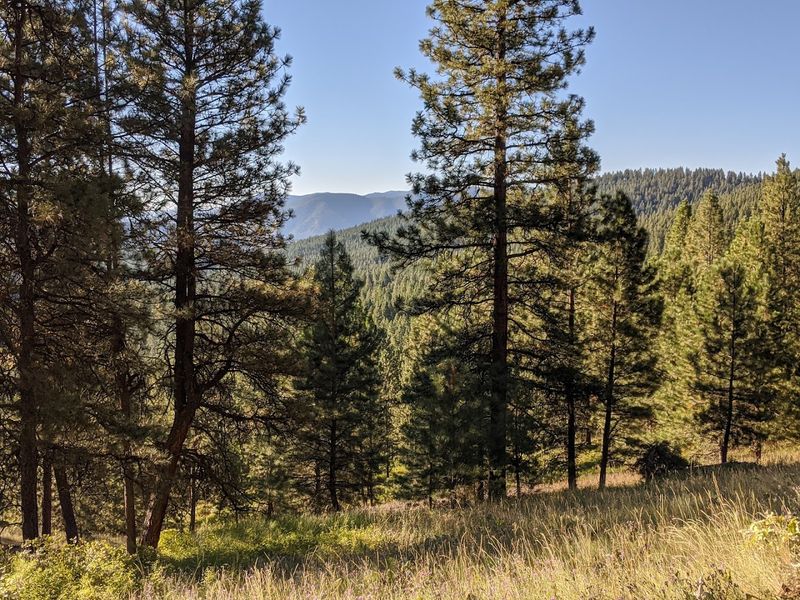 Missoula – Rattlesnake National Recreation Area