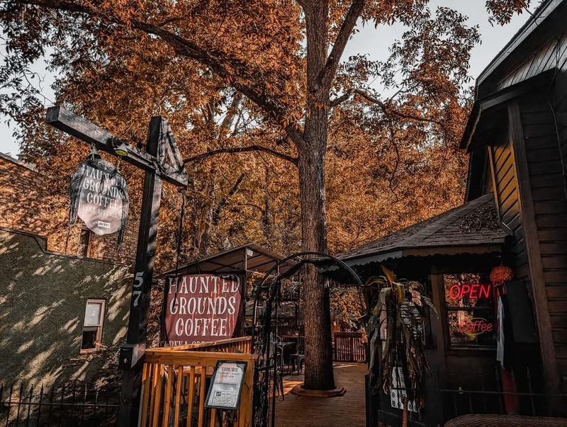 Where Halloween Energy Lasts All Year Long Where Halloween Energy Lasts All Year Long