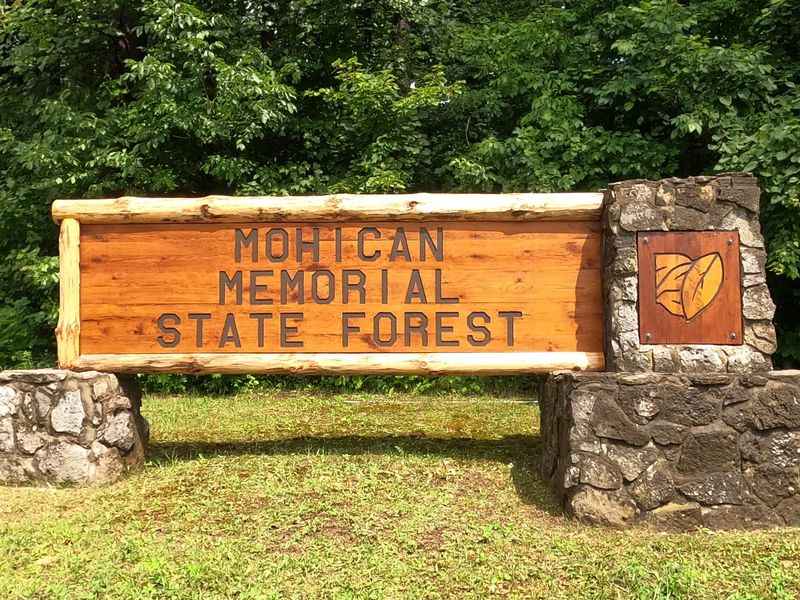 Mohican-Memorial State Forest