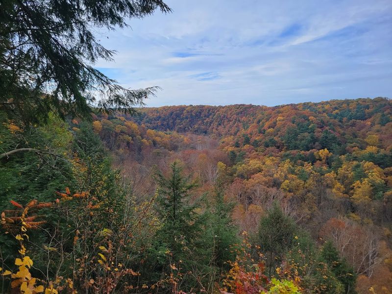 Mohican State Park (Loudonville)