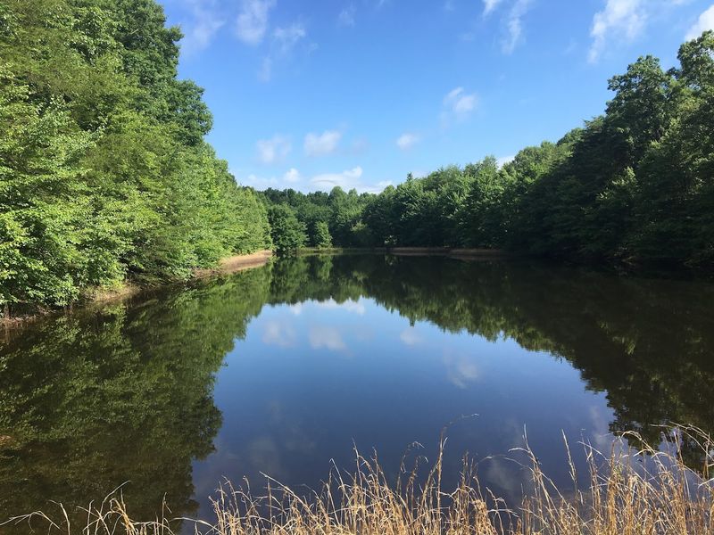 Monteagle