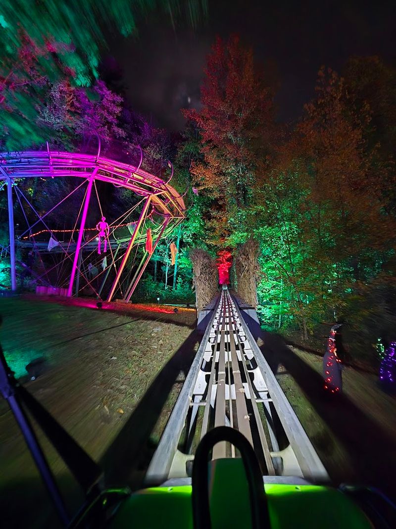 Moonshine Mountain Coaster — Gatlinburg Moonshine Mountain Coaster — Gatlinburg