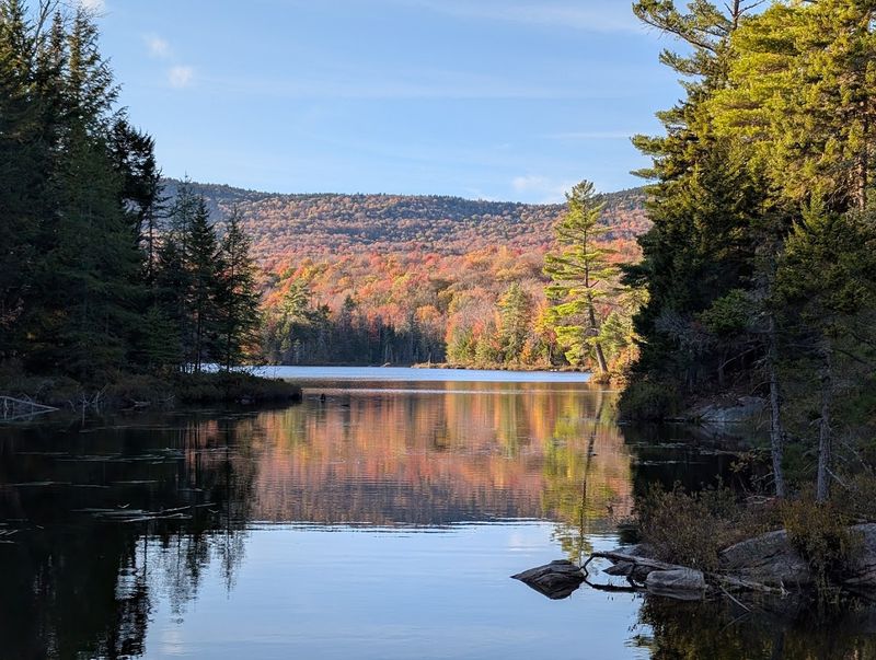 Moose River Plains Wild Forest