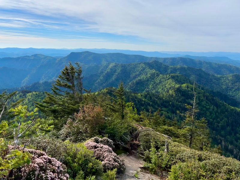 Mount Le Conte — Great Smoky Mountains National Park