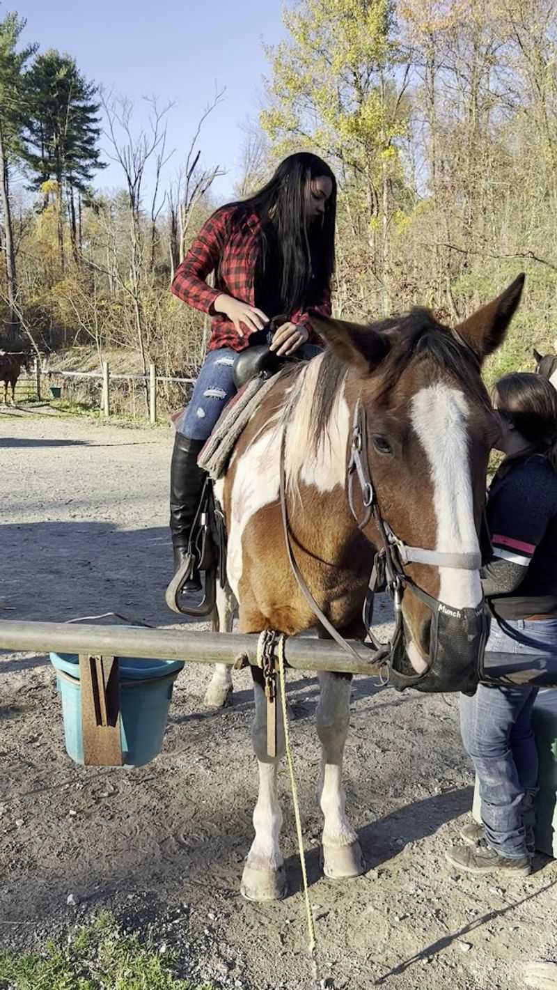 Mountain Creek Riding Stable has earned impressive local praise