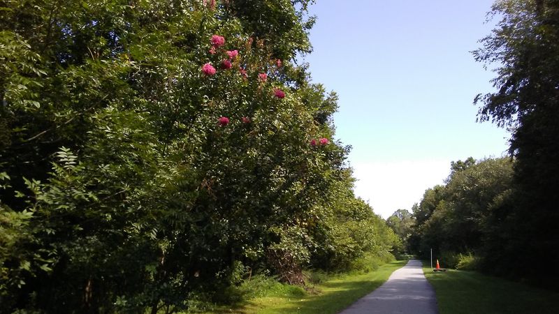 Muddy Creek Greenway