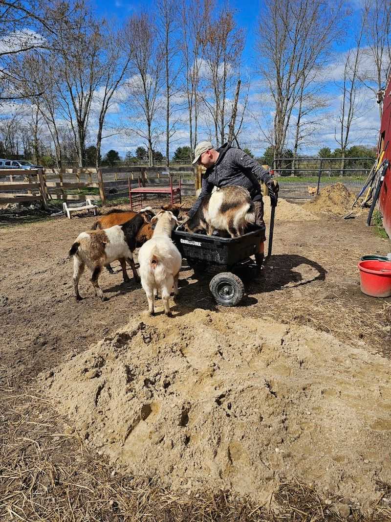 Muddy Paws Farm Rescue - Southampton