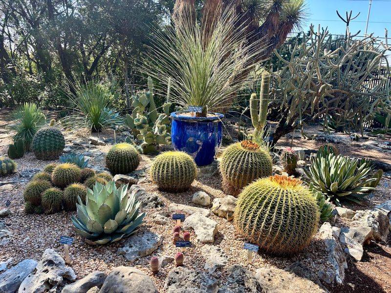 Multiple Themed Gardens in Compact Space