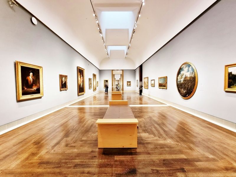 Museum of Fine Arts, Houston (Houston)