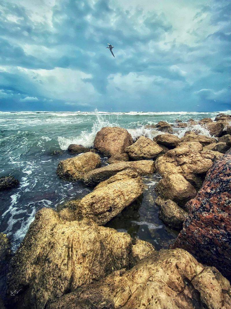 Mustang Island Mustang Island