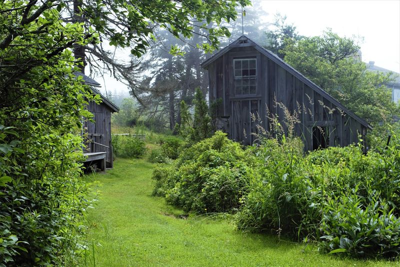 A Maine Island Shaped by Weather and Work A Maine Island Shaped by Weather and Work