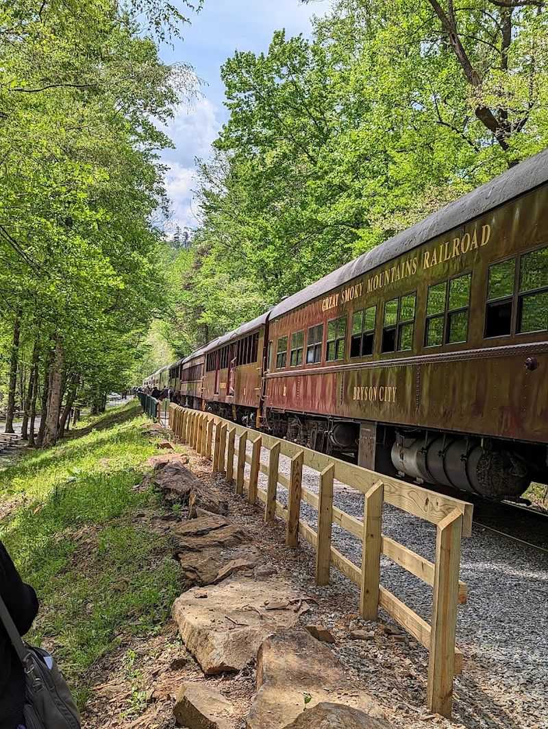 Great Smoky Mountains Railroad, Bryson City