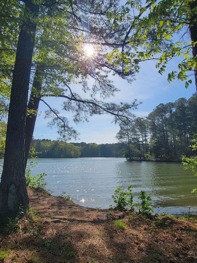 Natchez Trace State Park