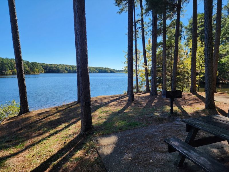 Natchez Trace State Park, Wildersville