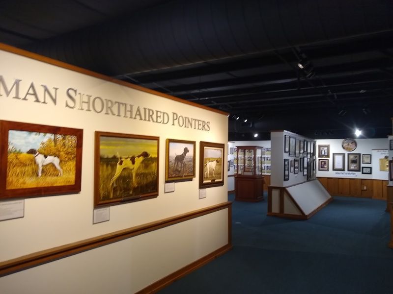 National Bird Dog Museum — Grand Junction