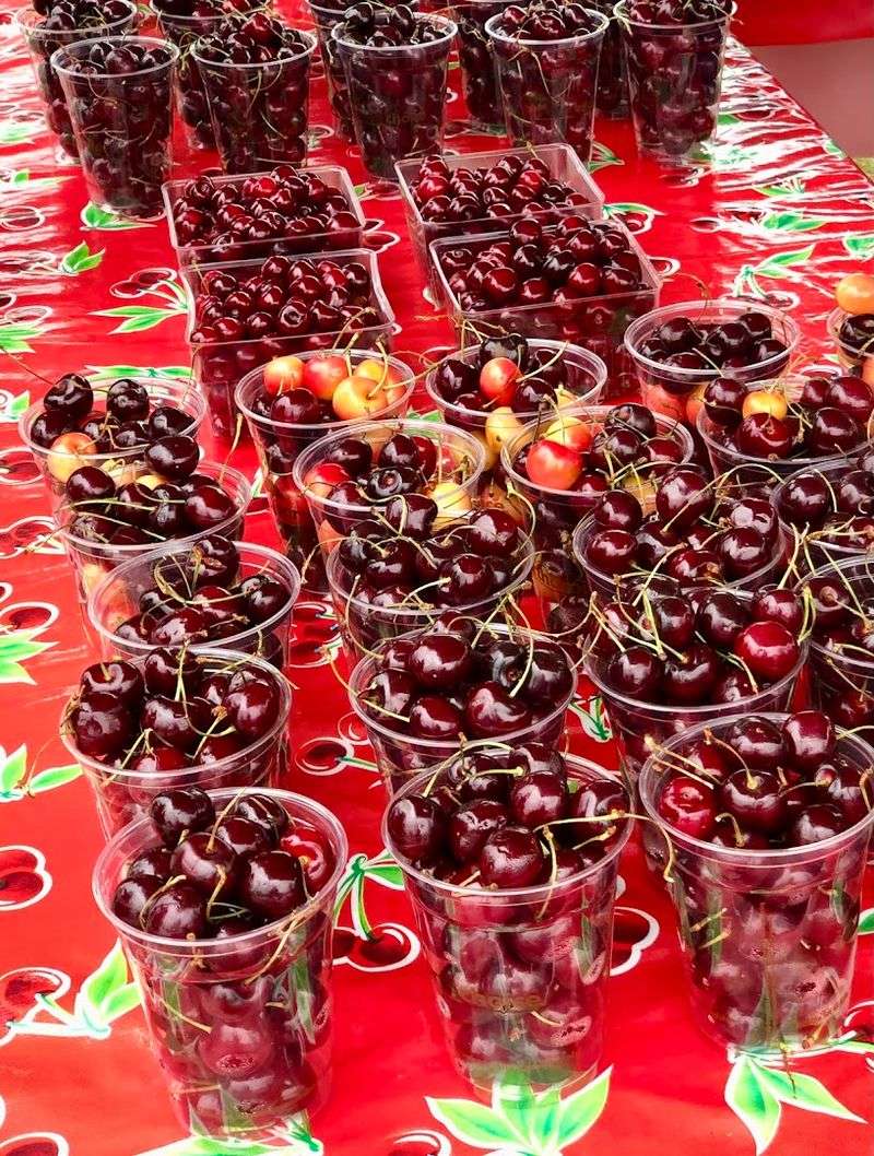 National Cherry Festival — July