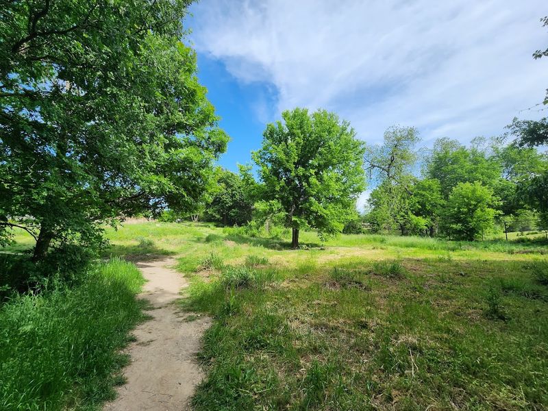 Native Prairie Plants That Bring Texas Back to Life