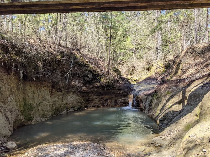 Natural Springs Create Swimming Paradise Natural Springs Create Swimming Paradise