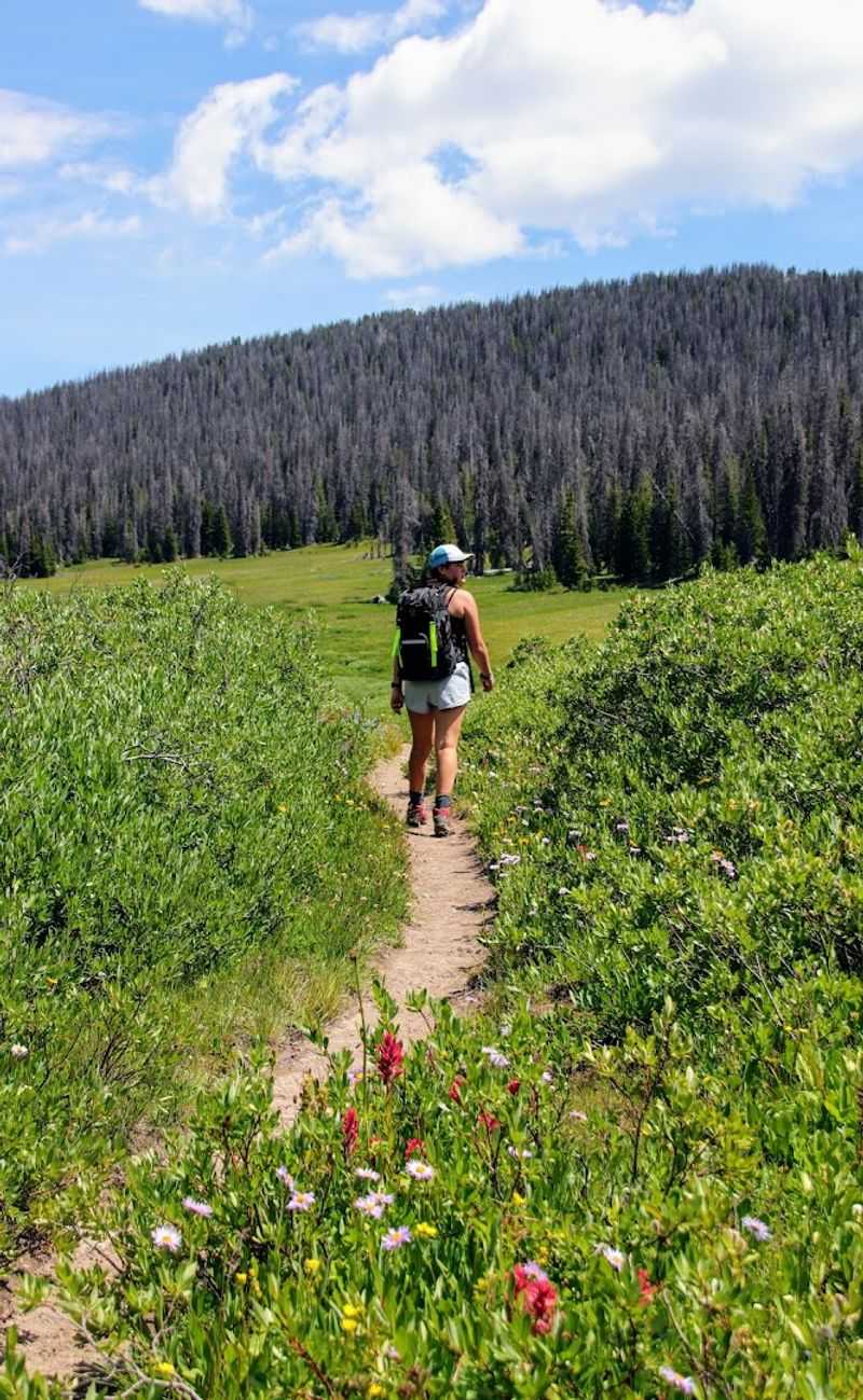 Nature Provides Low Cost Recreation