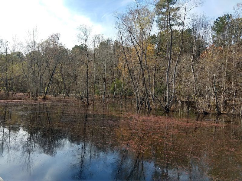 Neuse River Greenway Trail (Raleigh)