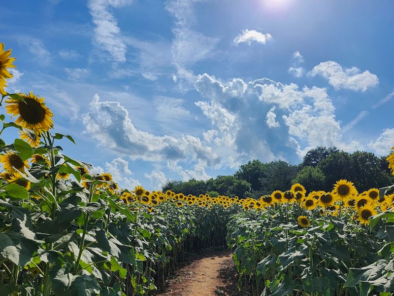Nightfall Acres — Loudon County