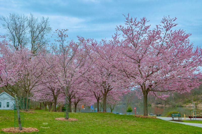 North Park - Pittsburgh North Park - Pittsburgh