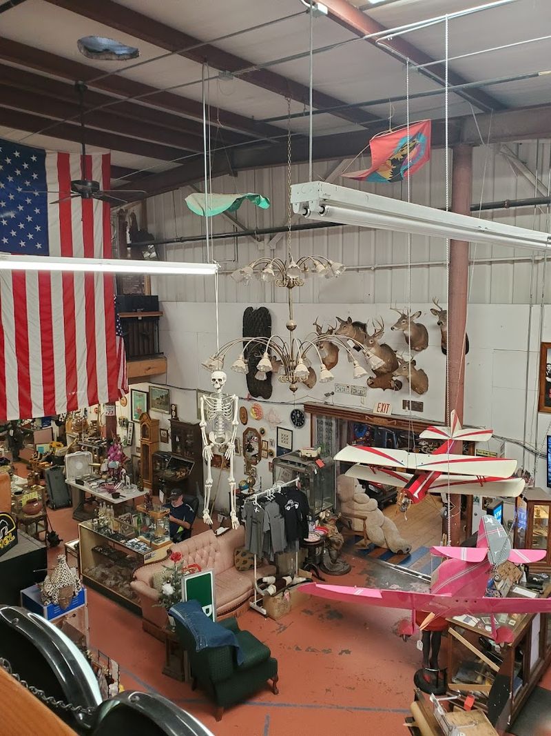 Oddities and Unique Conversation Pieces