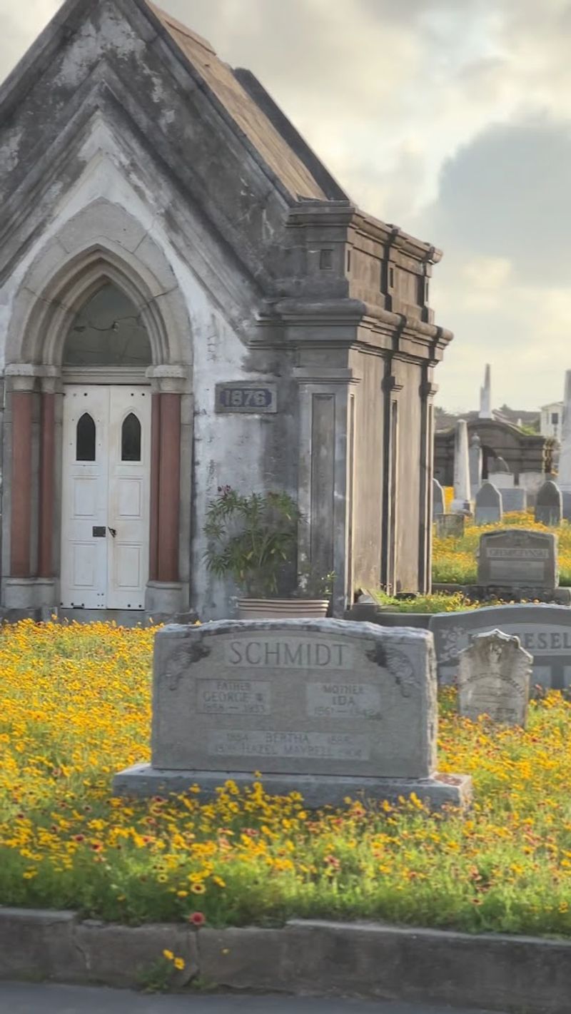 Old City Cemetery (Galveston)